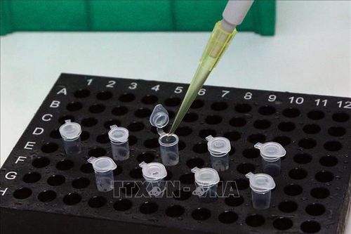 Các trường hợp tiếp xúc với bệnh nhân 122, 123 đều âm tính với virus SARS-CoV-2