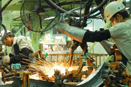 Doanh nghiệp giấy phát triển bền vững từ ba góc nhìn kinh tế, môi trường và xã hội