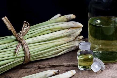 Mẹo khử sạch mùi nhà vệ sinh bằng nguyên liệu có sẵn trong bếp