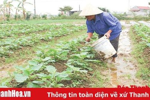 Phát triển nông nghiệp ứng phó với biến đổi khí hậu