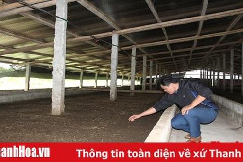 Nhân rộng mô hình nuôi giun quế