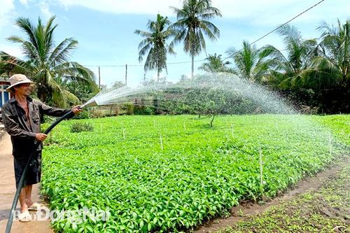 Đầu tư 'nâng chất' hợp tác xã