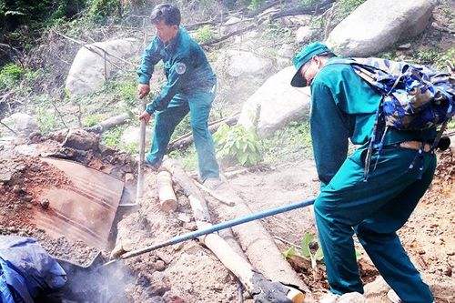Tập trung ứng phó nguy cơ cháy rừng