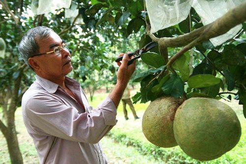 Đạ Tẻh phát triển nông nghiệp theo chiều sâu
