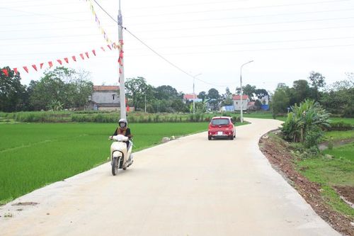 Đưa vào sử dụng tuyến đường trục xã