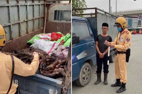 Bắt quả tang xe ô tô chở gần 1 tấn thực phẩm bốc mùi hôi thối