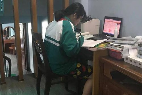 Bạn teen mặc đồng phục, đeo khăn quàng khi học trực tuyến nhận 'cơn mưa' lời khen