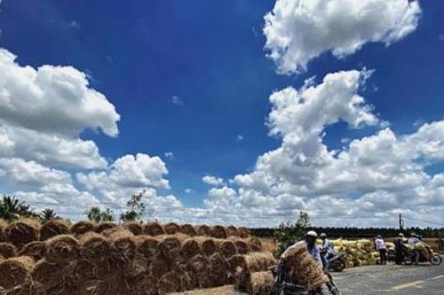 Những nghịch lý đắng chát