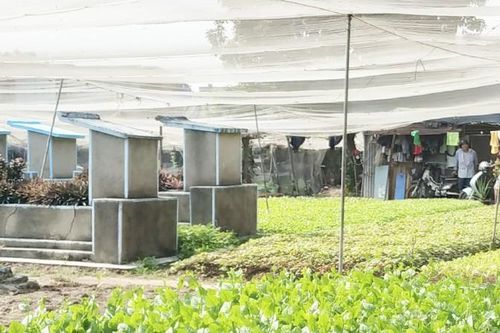 Vụ 'cất nhà, trồng rau trên đất mộ' tại TP HCM: UBND quận 12 yêu cầu xử lý dứt điểm trước 30/3