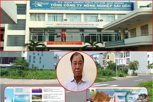 Cảnh cáo Ban Thường vụ Đảng ủy Tổng công ty Nông nghiệp Sài Gòn