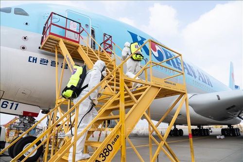 IATA kêu gọi Chính phủ Hàn Quốc cứu trợ các hãng hàng không nội địa