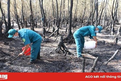 Bảo vệ rừng qua thời kỳ nguy hiểm