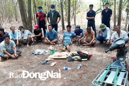 Triệt phá tụ điểm đá gà trong vườn nhà dân
