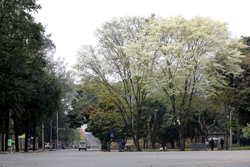 Khuyến cáo người dân không ra đường nếu không thực sự cần thiết