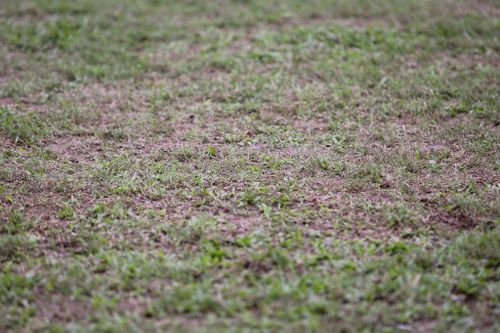 'Sân Vinh sẽ được cải tạo theo công nghệ Thái Lan'