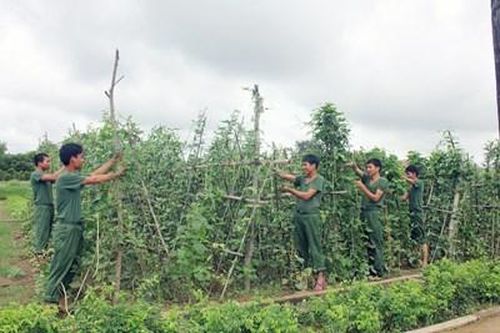 Đánh thức tiềm năng, thế mạnh hậu cần tại chỗ