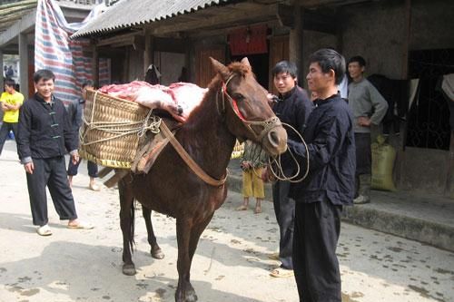 Tục cưới hỏi độc đáo của người Pa Dí