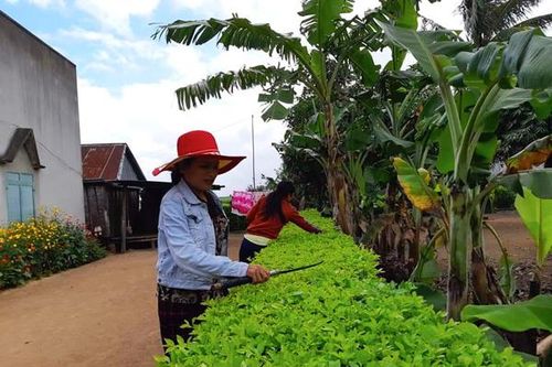 Điểm sáng phong trào phụ nữ