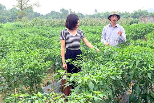 Ngành nông nghiệp vượt 'bão' Covid-19