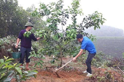Làm tròn trách nhiệm 'cả hai vai'