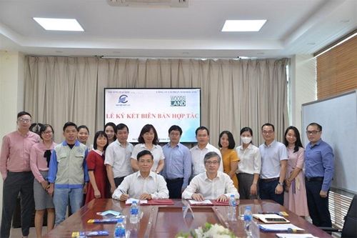 Đại học Điện lực - Công ty CP Woodsland: Hhợp tác đào tạo quản lý công nghiệp và năng lượng
