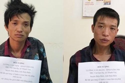 Hai anh em ruột vận chuyển 6.000 viên ma túy tổng hợp