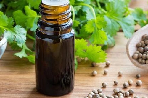 Ngỡ ngàng với tinh dầu mùi già hương thơm sát khuẩn khắp nhà, làm da đẹp trẻ trung