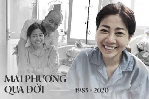 Nhìn lại chặng đường sự nghiệp của nữ diễn viên tài năng Mai Phương