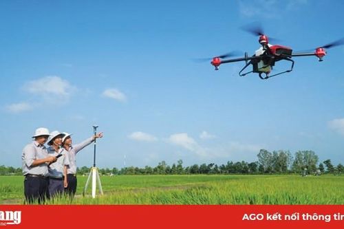 Liên kết sản xuất, hỗ trợ tiêu thụ nông sản