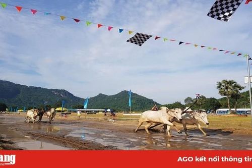 Vực dậy tiềm năng du lịch
