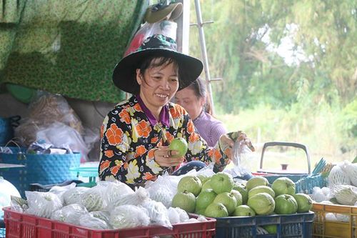 Nông dân Đồng Tháp thu 'quả ngọt' nhờ làm nông chuyên nghiệp và tử tế
