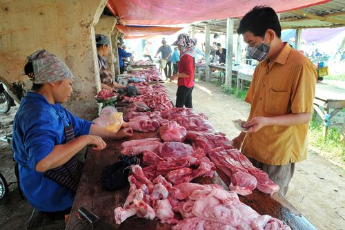 Từ 1/4, phải giảm giá thịt lợn hơi xuống 70.000 đồng/kg