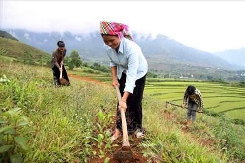 Hơn 4 nghìn tỷ đồng phục vụ an sinh xã hội và giảm nghèo trong 3 tháng đầu năm