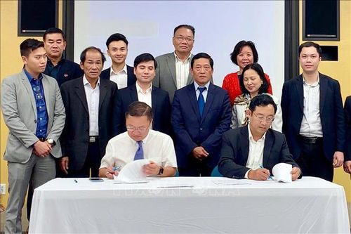 Hỗ trợ 200.000 USD cho startup Việt Nam