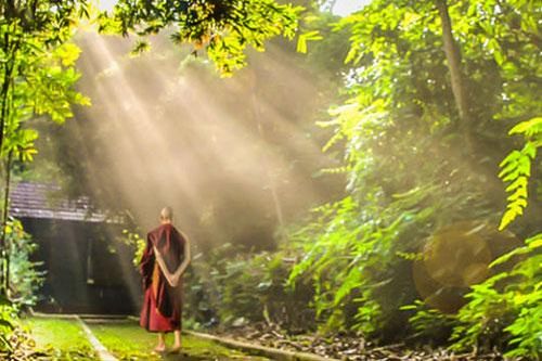 Phật dạy 8 chữ 'vàng' nên 'gối đầu giường' để tu dưỡng bản thân mỗi ngày