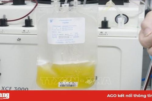 Mỹ phát triển các phương pháp điều trị cho bệnh nhân mắc dịch COVID-19