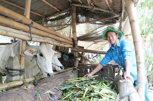 Đồng hành, giúp thanh niên ổn định cuộc sống
