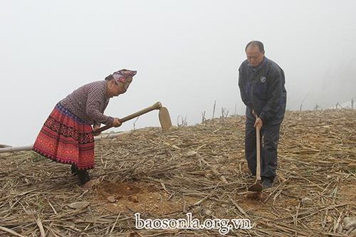 Mùa gieo hạt ở bản Đèo Chẹn