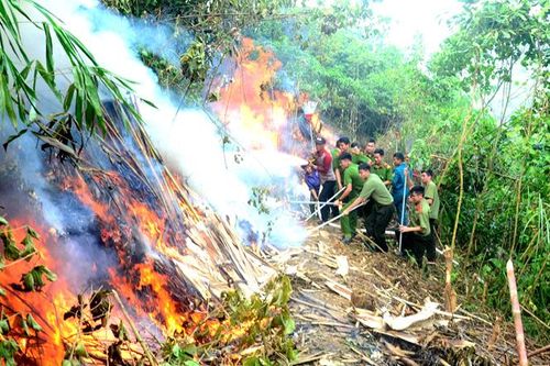 Dự báo sớm để hạn chế nguy cơ cháy rừng