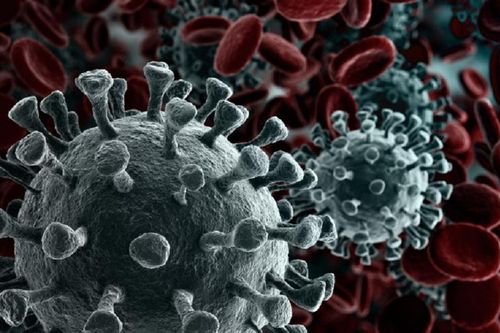 8 chủng virus corona đang lây lan trên toàn cầu