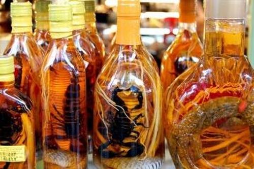 Bổ thận tráng dương – dùng thế nào cho đúng?