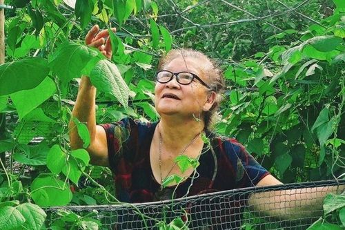 Bà 83 tuổi viết thư, tặng trứng gà cảm ơn chiến sĩ nơi cháu cách ly