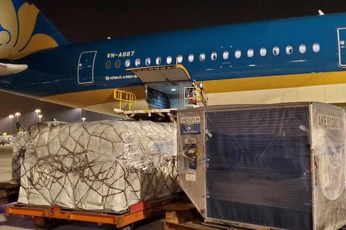 B787, A350 thành máy bay chuyên chở hàng trong mùa dịch