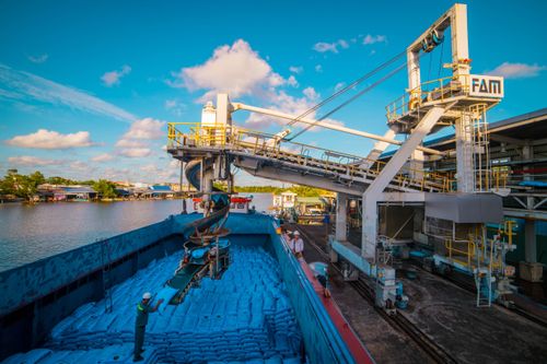 Quý I/2020: Lợi nhuận Đạm Cà Mau cao hơn kế hoạch