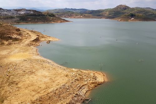 Tây Nguyên quay quắt vì nắng hạn