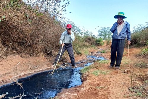 Ô nhiễm vì doanh nghiệp xả thải thẳng ra môi trường
