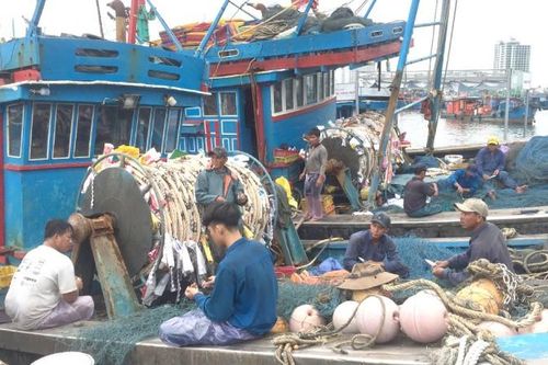 Không lắp thiết bị giám sát hành trình, tàu cá không được ra khơi
