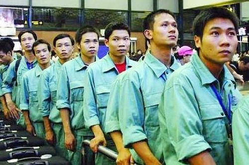 Khoảng nửa triệu lao động Việt Nam làm việc ở nước có dịch