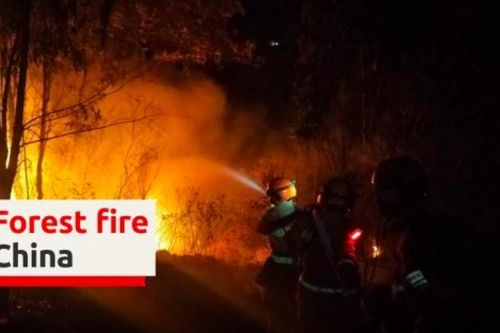 Cháy rừng kinh hoàng ở Trung Quốc, 19 người chết