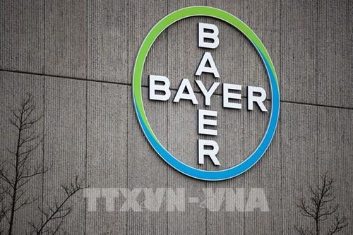 Tập đoàn Bayer đạt thỏa thuận bồi thường liên quan thuốc diệt cỏ của Monsanto